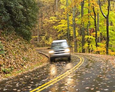 A silver van drives down a winding road in autumn.