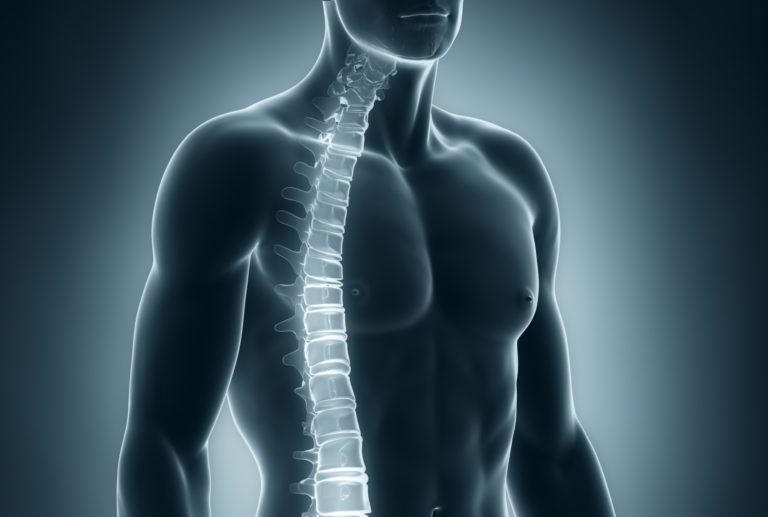Spinal Cord Stock photo